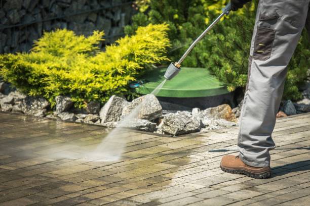 Best Building Exterior Washing  in North Arlington, NJ