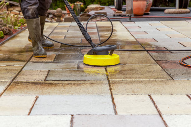Best Dumpster Area Cleaning  in North Arlington, NJ
