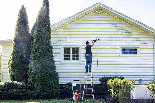 Best Patio and Deck Pressure Washing  in North Arlington, NJ